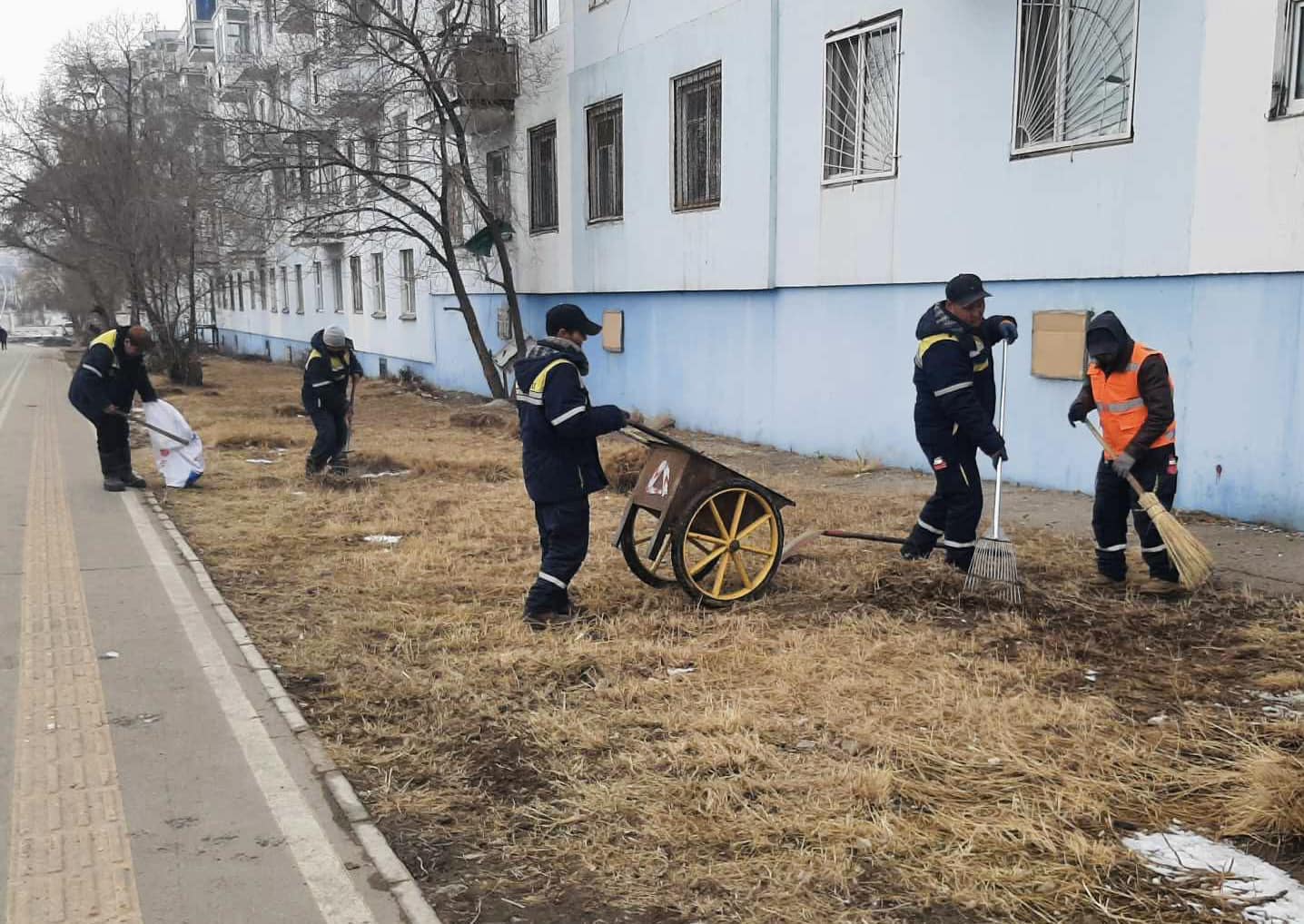 Ногоон байгууламжийн цэвэрлэгээ үйлчилгээ